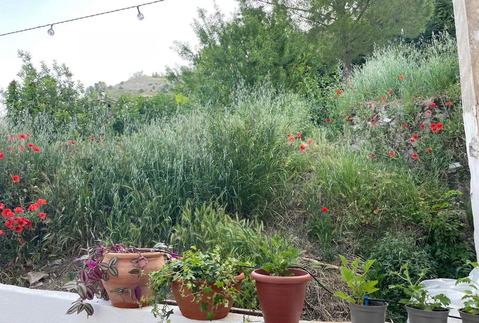 Holiday home La Casita Azul Villa Cazorla Spain
